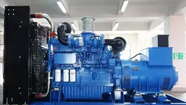 1000kW Grupo electrógeno diésel con motor Yuchai