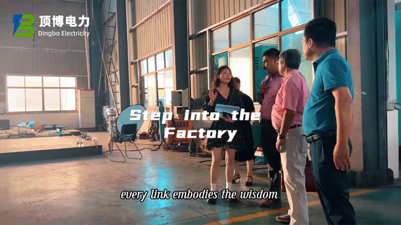 Visita de clientes de África a nuestra fábrica Dingbo