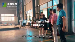 Visita de clientes de África a nuestra fábrica Dingbo