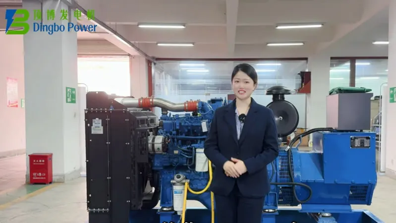 Como cargar combustible, aceite y refrigerante a un generador diésel