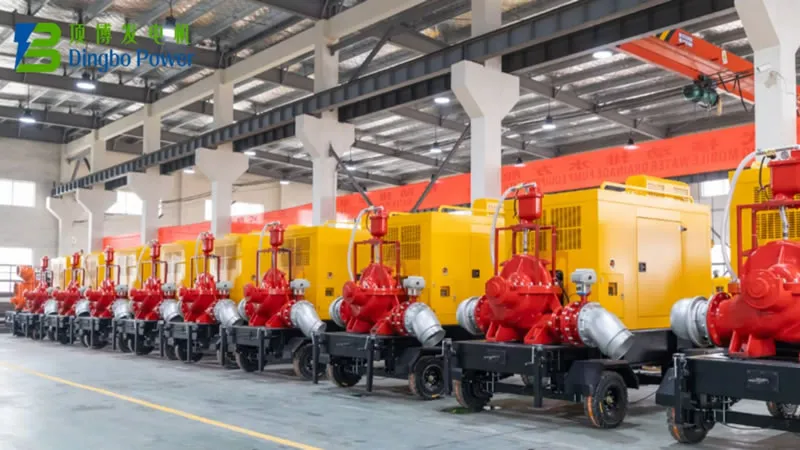 Cómo elegir una bomba de agua para riego agrícola