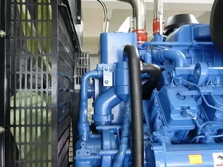 Ecónomico y respetuoso con el medio ambiente