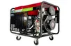 Generador de soldadura diésel 250A (01 cilindro) 